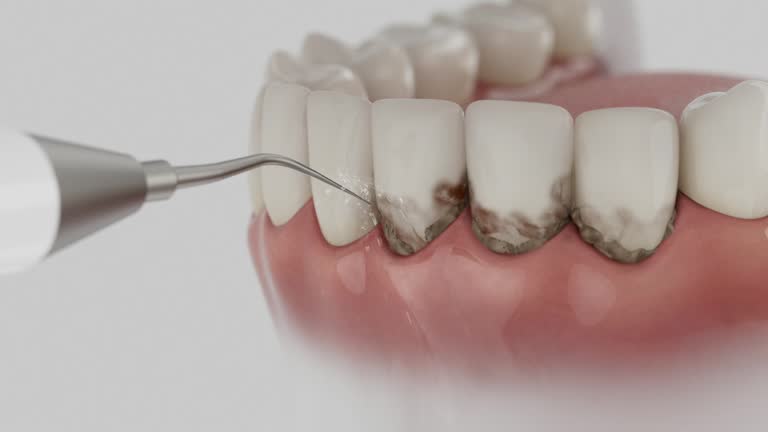 Reliable Dental contractor in Morehead, KY by Dentist Open Now